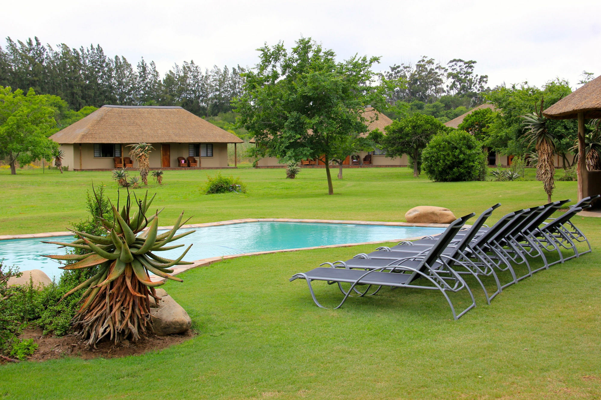 Chrislin African Lodge Addo Bagian luar foto